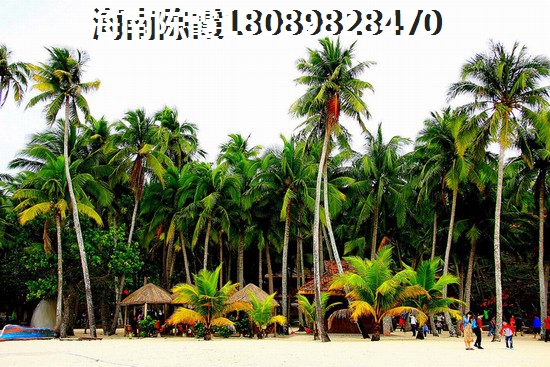 琼海的优缺点有哪些？