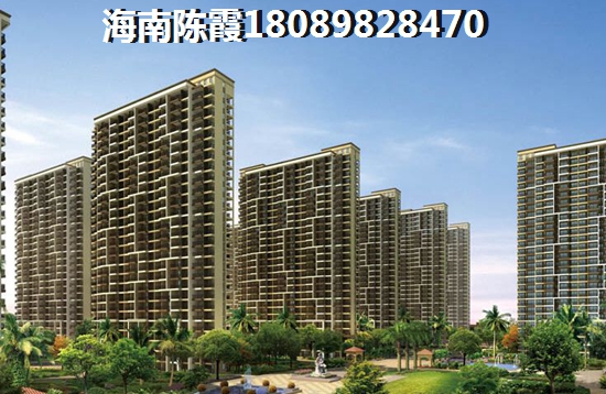 碧海苑你选精装房还是毛坯房？