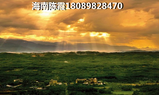 为什么XG后海南琼海市房价还在生纸