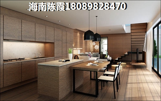 椰香海韵买房预算表