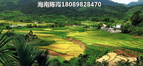 琼海商业步行街团购