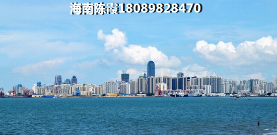 水清木华万泉印象海景房的优势和不足