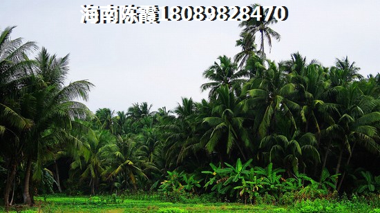 万泉语润