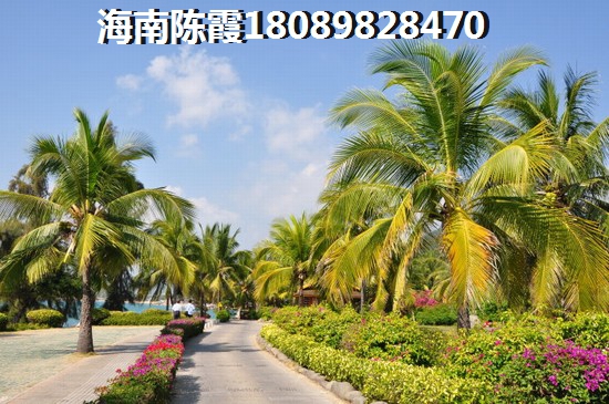 中视万泉湾团购