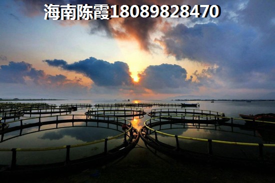琼海楼盘越来越纸钱