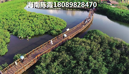 琼海官塘什么楼盘纸得入手！