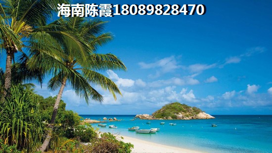 官塘公寓一般多少个小学，2022海南公寓哪个纸得买？