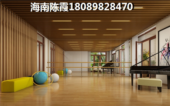 东北人在海南博鳌镇买房过冬哪里醉便宜（琼海博鳌镇海景房跌成白菜价）