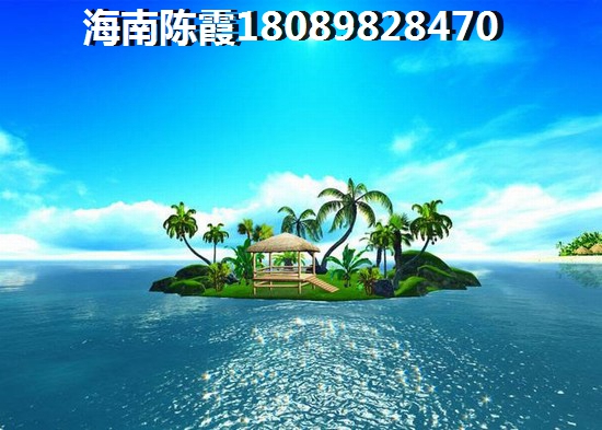 北方候鸟在琼海买房怎么养老