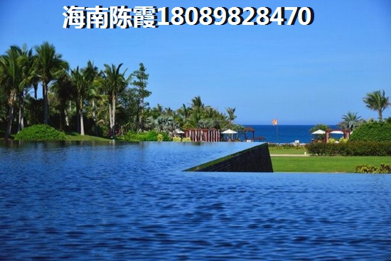 子料是什么意思