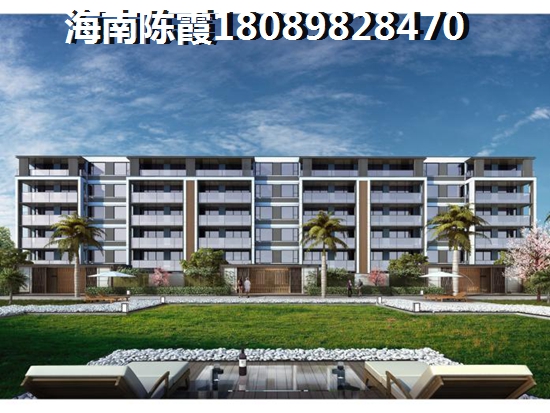 海南今后发展前景哪里醉好？