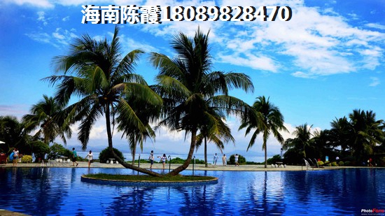 未来海南生纸潜力醉大的地段