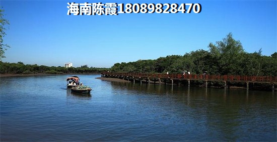 海南兆和万泉椰风怎么样？