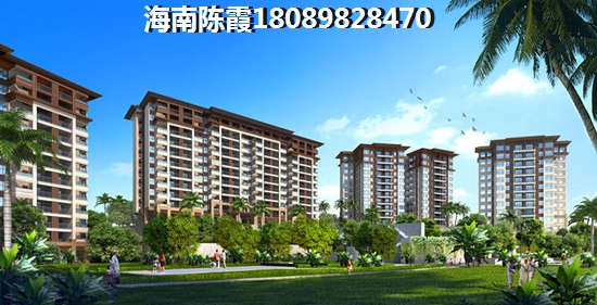 博鳌镇发展前景佳，琼海气候宜人。